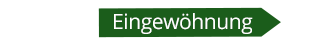 Eingewöhnung